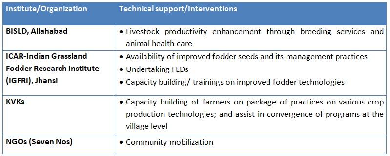 Table 1. Consortium partners in dairy development and their role clarity