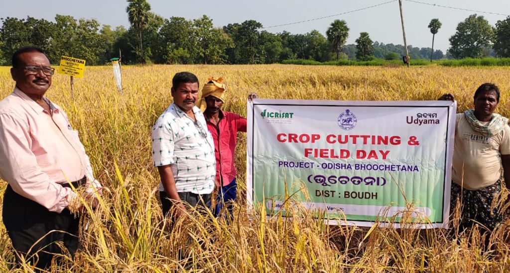 A field demonstration in Boudh district, Odisha. Photo: ICRISAT Development Center