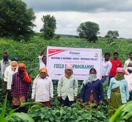 Farmers attend a Field Day at Buchinelli village in Telangana. Photo: ICRISAT