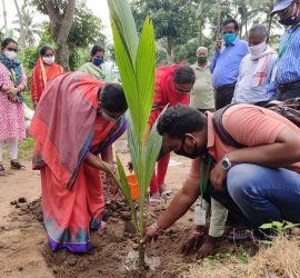 Chairman, Panchayat Samiti, Satyabadi block, Puri (left) planting coconut on the occasion of World Coconut Day. Photo: ICRISAT