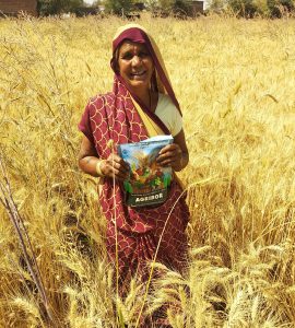 A farmer displaying the inputs she received for her wheat field under the DFI project