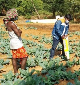 Demonstration of easy planter at Bhonsuli village, Nabarangpur district. Photo: ICRISAT Development Center