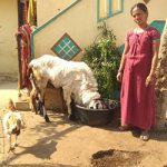 Smt-Bekkem-Shantamma-Rajapeta-village