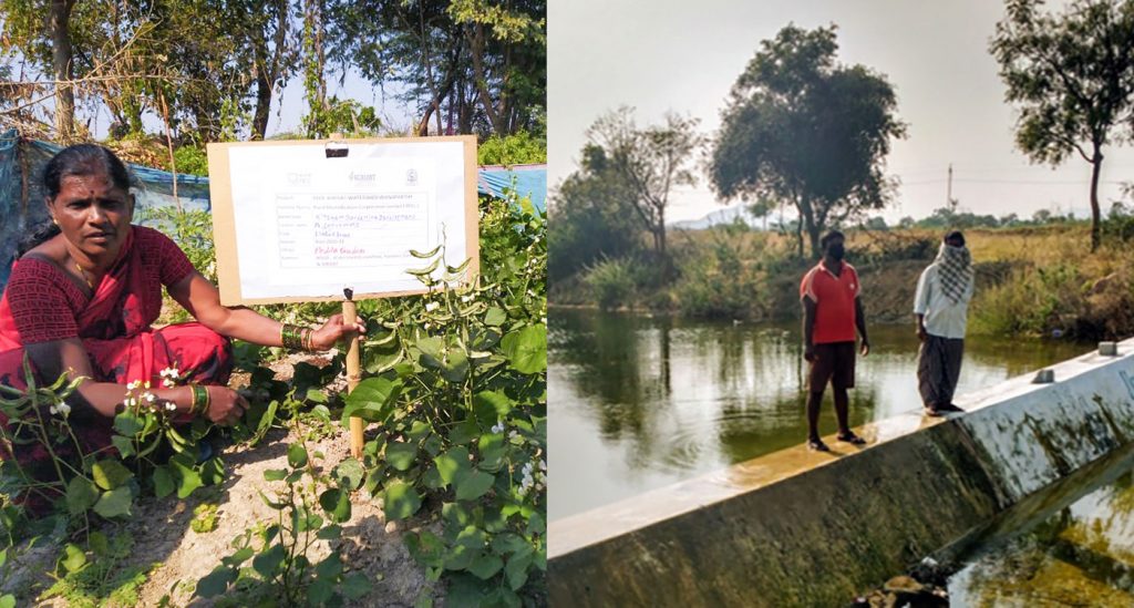 Left: Sattyamma in her nutri-garden in Peddagudem village, Wanaparthy. Photo: BISLD/Samatha/ICRISAT Right: An old check dam constructed in Kondampalle village in 2017. Photo: Samatha/ICRISAT